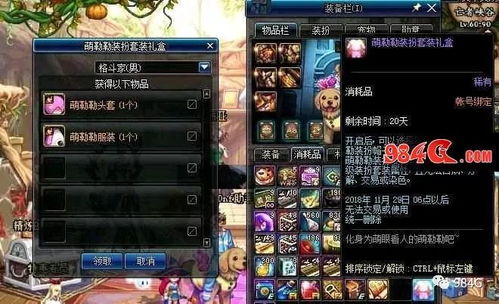 2026DNF时装分解全指南，可分类型盘点、热门需求匹配及实战避坑