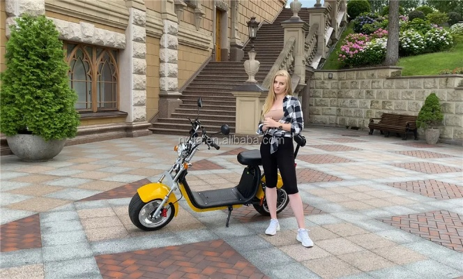 全球首款量产自平衡电动摩托车发布 美女撒手站车上也不倒