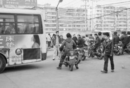 德国15岁少年偷公交车接女友上学：开了130km后完璧归赵