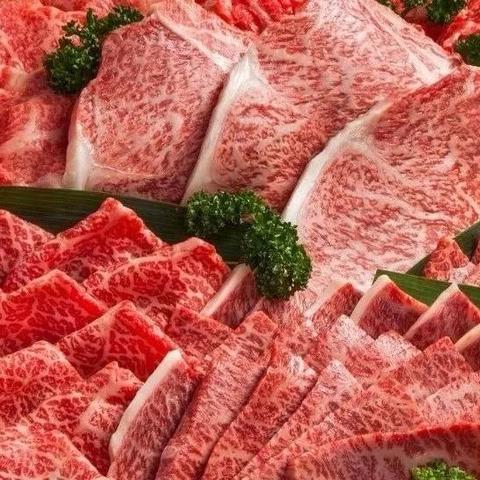 2001年版《动物森友会》非官方PC版发布 支持4K宽屏显示