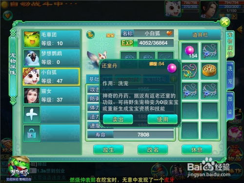 2026宠物小精灵官方版全类型解析，刷闪、卡组、神兽捕捉进阶指南