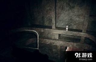 生化危机9安魂曲黑白浣熊先生13在哪 第十三个黑白浣熊先生位置攻略