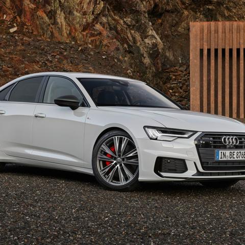 绝版宠物怎么选？2026最新类型划分、热门需求匹配+实战获取保值全攻略