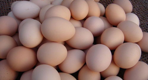 女子家磕出蛋中蛋，是罕见奇观还是安全隐患？附鉴别与食用指南