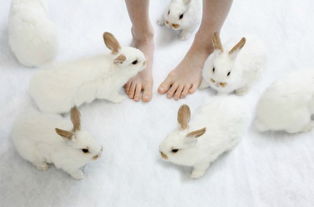 尺度拉满！美少女塔防肉鸽《御炮少女》推出拍照模式