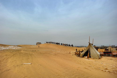 红色沙漠M站唯一差评 庞大却空洞引争议