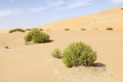 外媒为《红色沙漠》打满分：标杆级作品 恐后无来者！