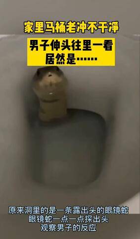 吓出冷汗！上厕所时智能马桶突然喷火