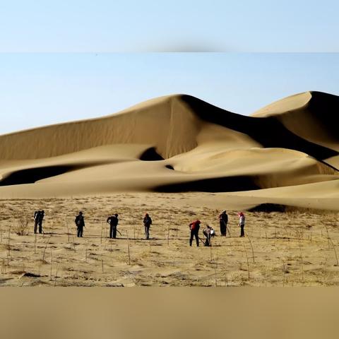 《红色沙漠》最新修改器：解除负重限制与快速获取稀有材料