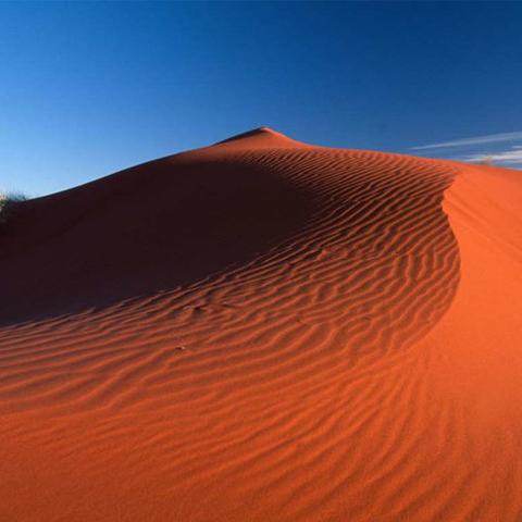 《红色沙漠》测评人连教程都过不去？官方调低难度