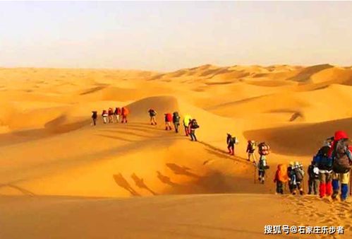 炒作半天结果就这？《红色沙漠》遭玩家社区集体吐槽