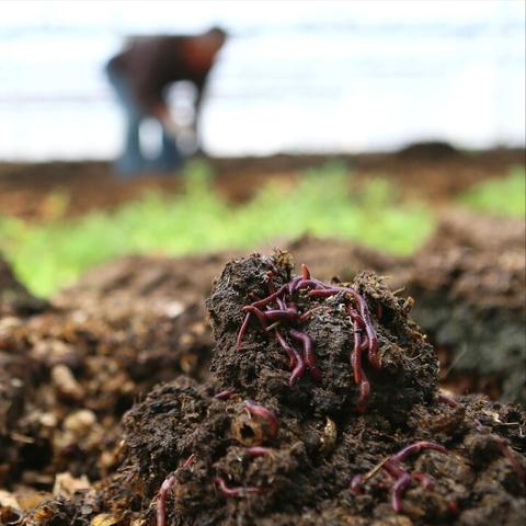 玩前必看！在《红色沙漠》中最先要做的几件事