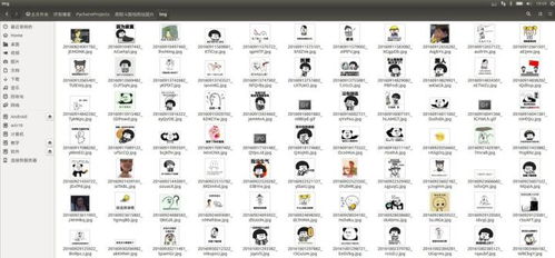 指虎选不对白花钱？2026全类型划分+实战/收藏/合法场景精准匹配攻略