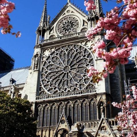 杀戮尖塔2吞噬生命卡牌有什么用 吞噬生命卡牌图鉴效果