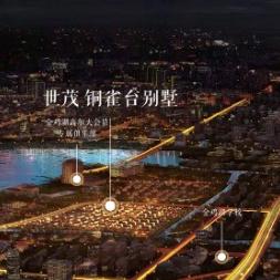 龙胤立志传最强天赋是什么 龙胤立志传最强三个天赋分享