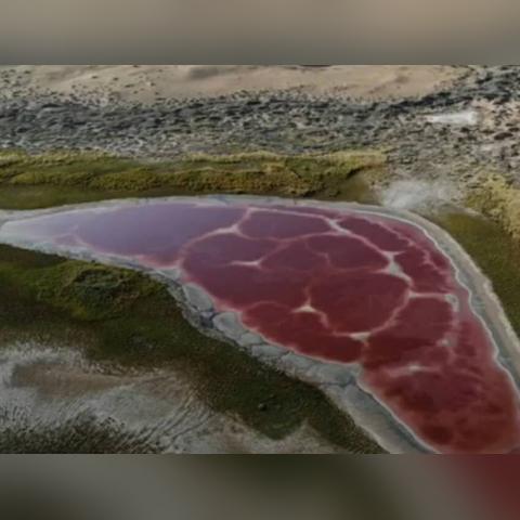 《红色沙漠》1.00.02版更新补丁发布 修复多项问题