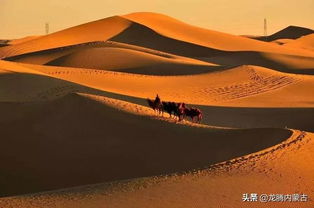 IGN力挺《红色沙漠》！需要数年时间“细细品味”