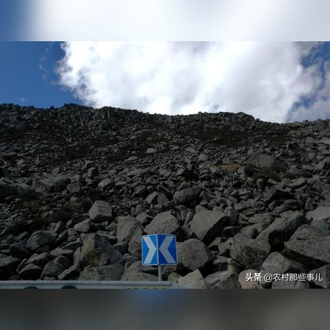 《红色沙漠》封面被质疑抄袭？网友吵翻了