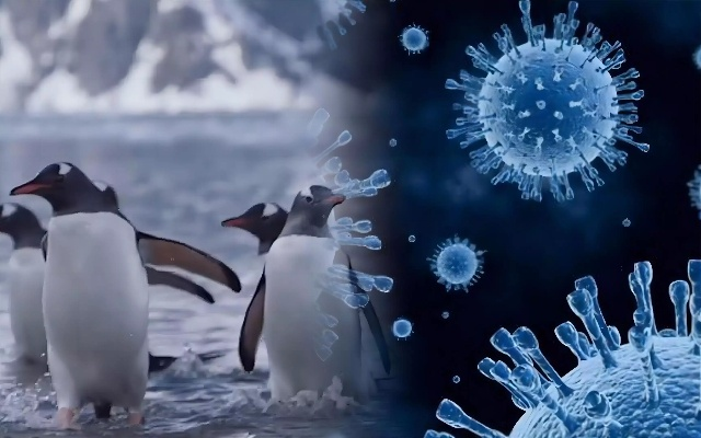 复活48500年冷冻病毒，类型解析、人类感染风险与科研价值全揭秘