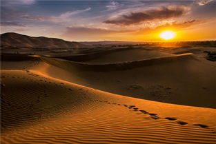 《红色沙漠》被疑存在AI生成内容 但商店并未标注
