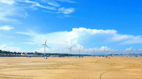 海边惊现3类泸沽虾？赶海老炮私藏抓/烹/存全流程攻略（附2026监测数据）