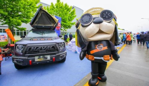 汽车总动员2独家深度攻略，解锁隐藏角色、竞速必胜技巧与全剧情通关指南