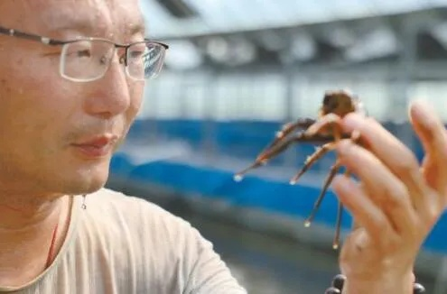 亮相GDC后，腾子想让几千万玩家在游戏里养龙虾？