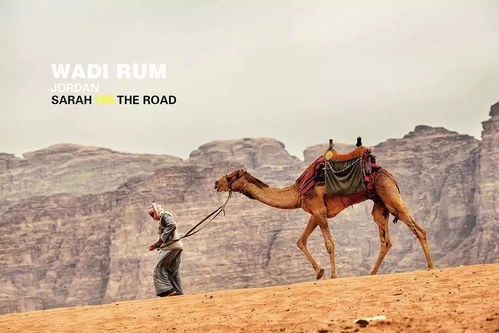 《红色沙漠》1.00.03版更新补丁发布：新增仓库功能 操作逻辑优化！