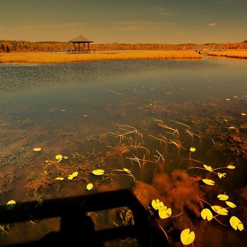 《红色沙漠》或再引争议：玩家发现游戏中可攻击儿童