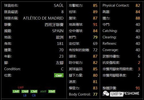 猎人MM下载类型全解析，精准匹配热门玩法需求的2026避坑指南