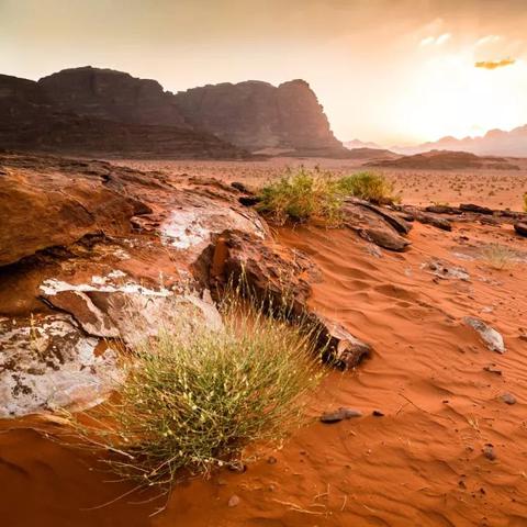 红色沙漠回应AI素材 承认失误将全面替换