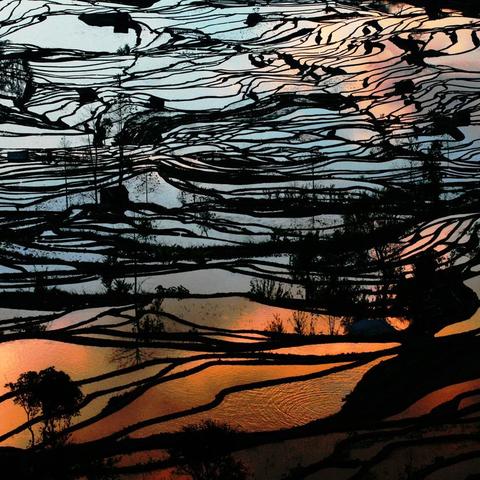 拍拍部落官网全场景攻略，怀旧党回归、新手上路必看的隐藏福利与技巧