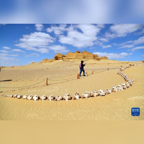 《红色沙漠》到达地图边缘会发生什么：震"鲸"了！