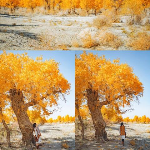 《红色沙漠》玩家发现新细节：可用剑和太阳随地烤肉