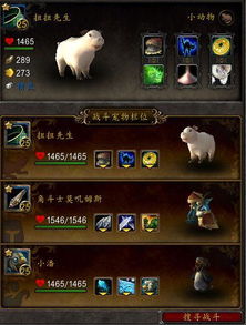 2026魔兽世界宠物全类型拆解，匹配副本/对战/收集需求的实战攻略