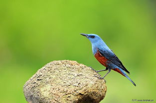 横板动作肉鸽《SlashZero》将于3月27日首测