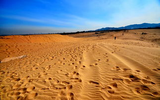 《红色沙漠》只能骑龙15分钟被批 粉丝希望移除时间限制