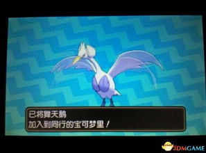 精灵宝可梦究极日月通关到对战全指南，神兽/孵蛋核心技巧解析