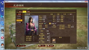 三国志13结婚类型全解析，匹配热门需求的脱单、联姻与隐藏事件攻略