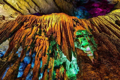 贵州溶洞发现“地下反向森林” 颠覆传统认知