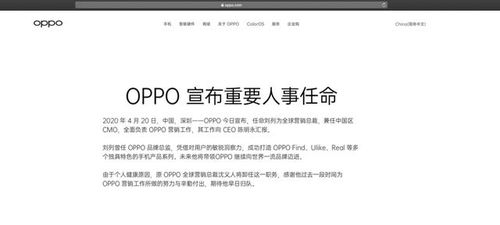 与OPPO最美产品经理同天离职引热议 王腾澄清：之前真不认识