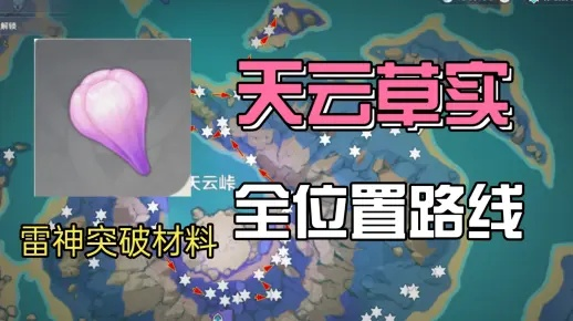 天云草实怎么刷够突破量？稻妻3类分布点+新手友好速采攻略