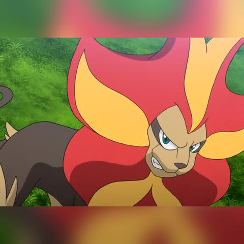 宝可梦火焰鸟深度攻略，冷门配招+高效捕捉，对战如何碾压热门阵容？