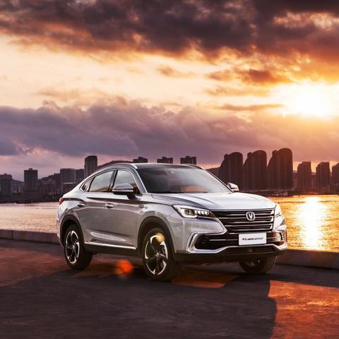 多面硬币怎么选？从桌游D20到占卜专属款，全类型解析+需求匹配攻略