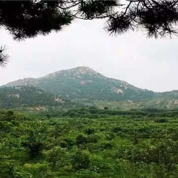 零氪开荒终极指南，隐藏遗迹全解锁+BOSS速通硬核技巧