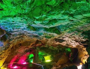 贵州溶洞发现“地下反向森林” 颠覆传统认知