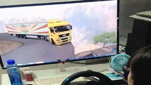 瘾这么大？司机货车里面装赛车模拟器堵车就开一局