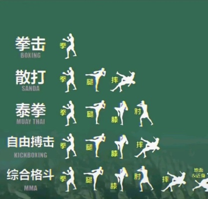 古武类型全解析，匹配实战防身/养生打卡/IP联动需求的精准入坑指南