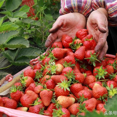 二次元“GTA”《异环》开预购！PS平台售价官宣