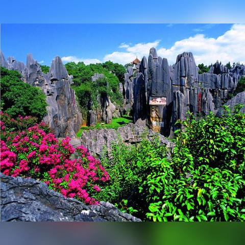 魔兽4.3怀旧服怎么玩到极致？幻化核心、巨龙之魂通关、职业专精全解析